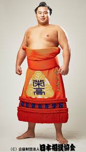 翔猿はイケメン力士 兄弟の英乃海や貴景勝も同じ高校だった 翔猿はイケメン力士 兄弟の英乃海や貴景勝も同じ高校だった