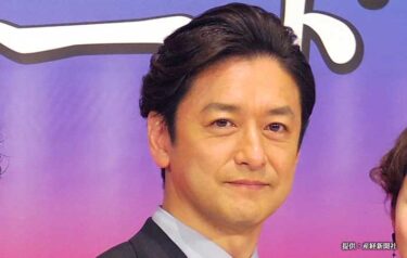四季 雑談 たぬき